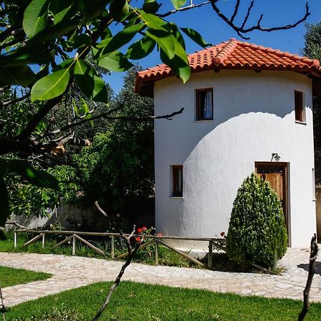 Kefalonian Mill - Oneira Villas Trapezaki  Extérieur photo